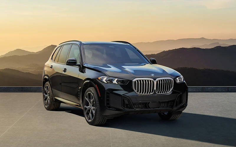 BMW X5 parked near seaside