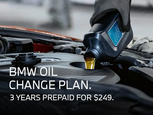 BMW Service Special